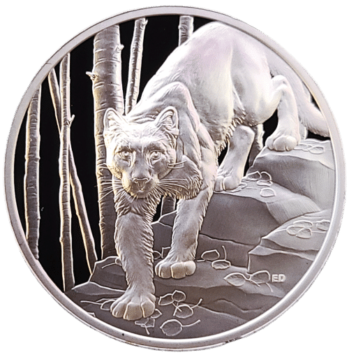 2024 Canada Great Hunters: Cougar 1 oz Silver Coin (UHR)