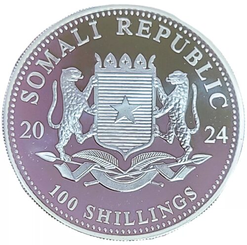 2024 Somalia 1 oz Silver African Wildlife Leopard .9999 Fine - Image 4